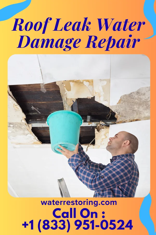 Roof Leak Water Damage Repair in Iatan, MO