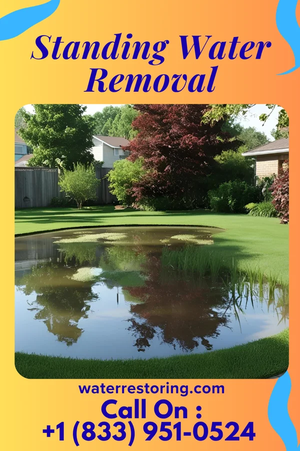 Standing Water Removal in Iatan, MO